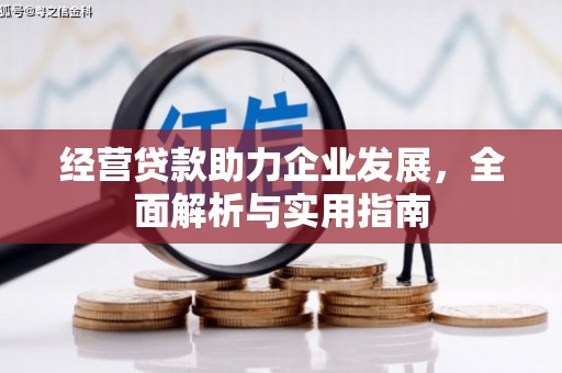 通霄经营贷款助力企业发展，全面解析与实用指南