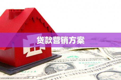 通霄贷款营销方案