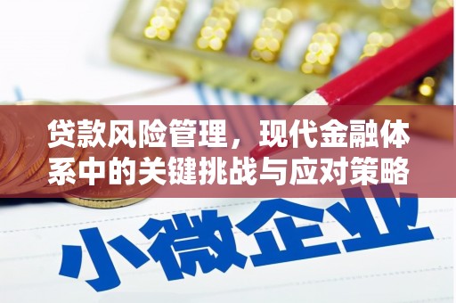 通霄贷款风险管理，现代金融体系中的关键挑战与应对策略