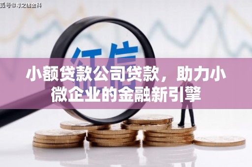 通霄小额贷款公司贷款，助力小微企业的金融新引擎