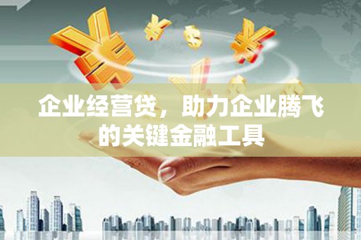 通霄企业经营贷，助力企业腾飞的关键金融工具
