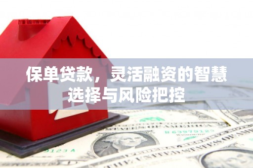 通霄保单贷款，灵活融资的智慧选择与风险把控