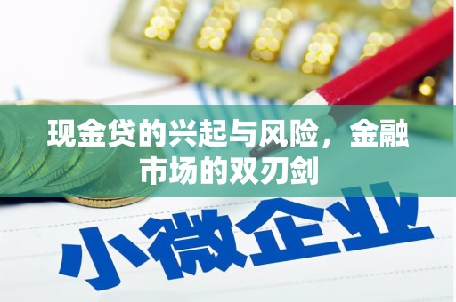 通霄现金贷的兴起与风险，金融市场的双刃剑