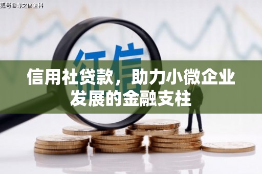 通霄信用社贷款，助力小微企业发展的金融支柱