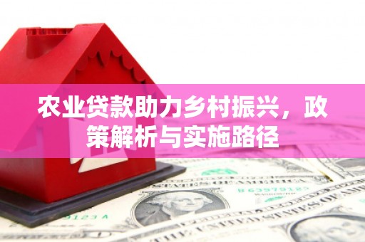 通霄农业贷款助力乡村振兴，政策解析与实施路径