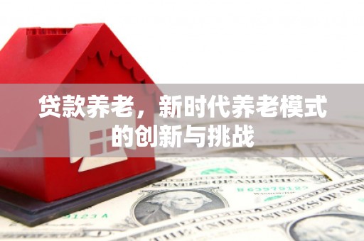 通霄贷款养老，新时代养老模式的创新与挑战