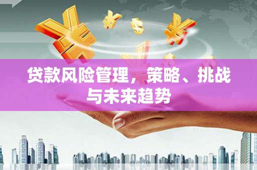 通霄贷款风险管理，策略、挑战与未来趋势