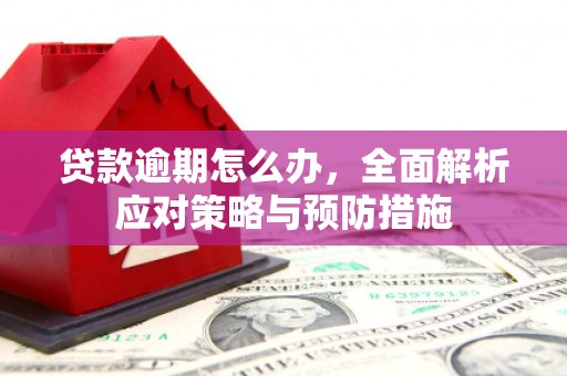 通霄贷款逾期怎么办，全面解析应对策略与预防措施