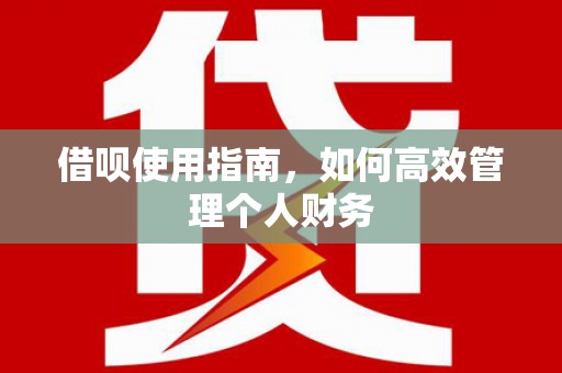 通霄借呗使用指南，如何高效管理个人财务