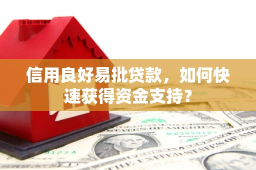 通霄信用良好易批贷款，如何快速获得资金支持？