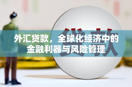 通霄外汇贷款，全球化经济中的金融利器与风险管理