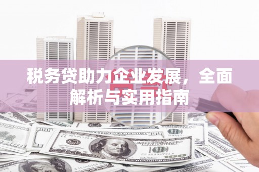 通霄税务贷助力企业发展，全面解析与实用指南