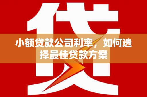 通霄小额贷款公司利率，如何选择最佳贷款方案