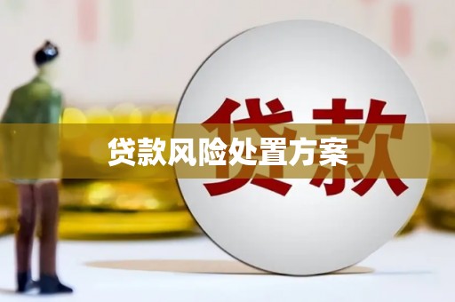 通霄贷款风险处置方案