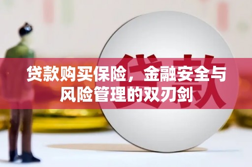 通霄贷款购买保险，金融安全与风险管理的双刃剑