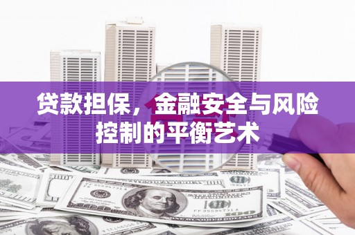 通霄贷款担保，金融安全与风险控制的平衡艺术