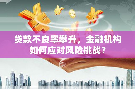 通霄贷款不良率攀升，金融机构如何应对风险挑战？