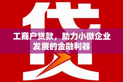通霄工商户贷款，助力小微企业发展的金融利器