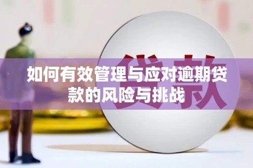 通霄如何有效管理与应对逾期贷款的风险与挑战