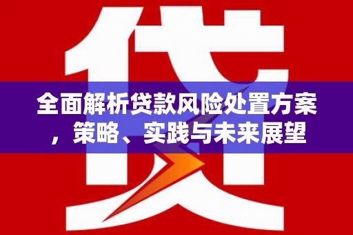 通霄全面解析贷款风险处置方案，策略、实践与未来展望