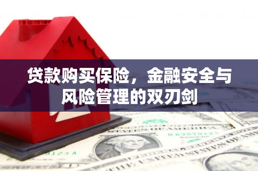 通霄贷款购买保险，金融安全与风险管理的双刃剑