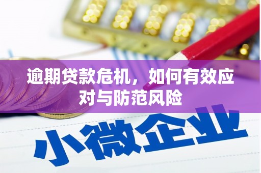 通霄逾期贷款危机，如何有效应对与防范风险