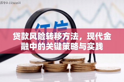通霄贷款风险转移方法，现代金融中的关键策略与实践