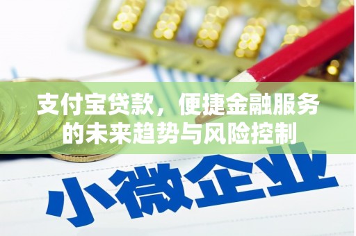 通霄支付宝贷款，便捷金融服务的未来趋势与风险控制