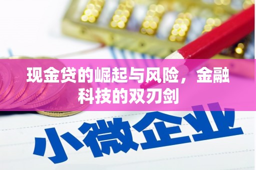 通霄现金贷的崛起与风险，金融科技的双刃剑