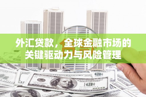 通霄外汇贷款，全球金融市场的关键驱动力与风险管理