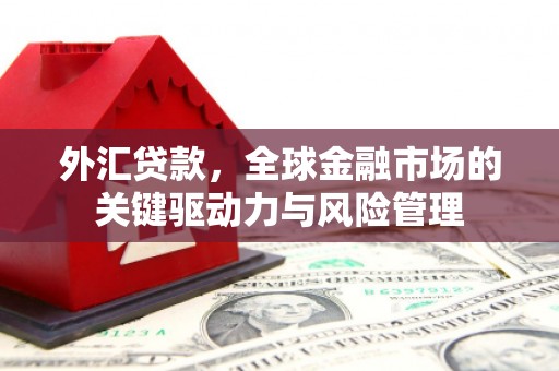 通霄外汇贷款，全球金融市场的关键驱动力与风险管理