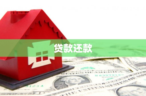 通霄贷款还款