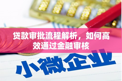通霄贷款审批流程解析，如何高效通过金融审核