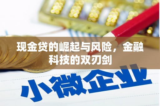通霄现金贷的崛起与风险，金融科技的双刃剑