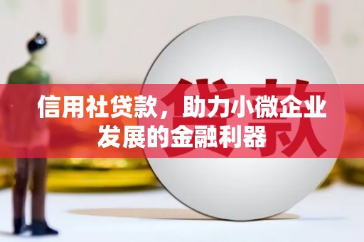 通霄信用社贷款，助力小微企业发展的金融利器