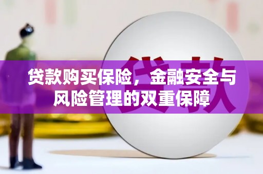 通霄贷款购买保险，金融安全与风险管理的双重保障
