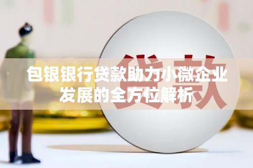 通霄包银银行贷款助力小微企业发展的全方位解析