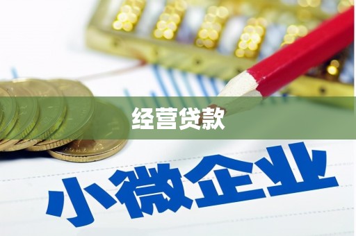 通霄经营贷款