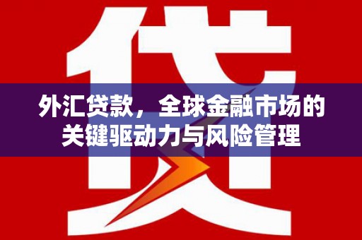 通霄外汇贷款，全球金融市场的关键驱动力与风险管理