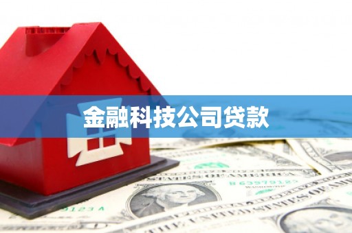 通霄金融科技公司贷款