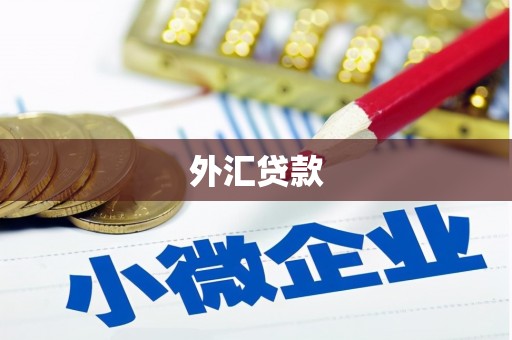 通霄外汇贷款