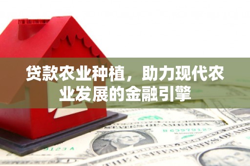 通霄贷款农业种植，助力现代农业发展的金融引擎