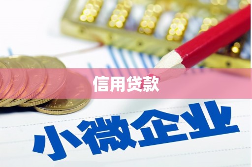 通霄信用贷款