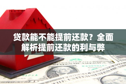 通霄贷款能不能提前还款？全面解析提前还款的利与弊
