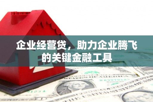 通霄企业经营贷，助力企业腾飞的关键金融工具