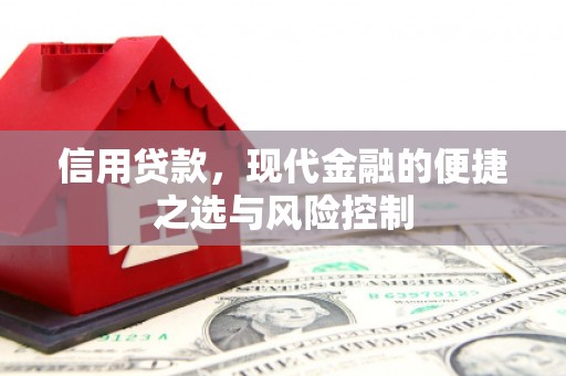 通霄信用贷款，现代金融的便捷之选与风险控制
