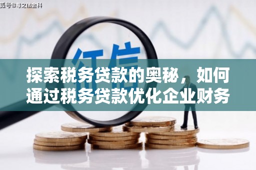 通霄探索税务贷款的奥秘，如何通过税务贷款优化企业财务