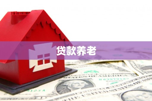 通霄贷款养老