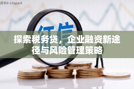 通霄探索税务贷，企业融资新途径与风险管理策略