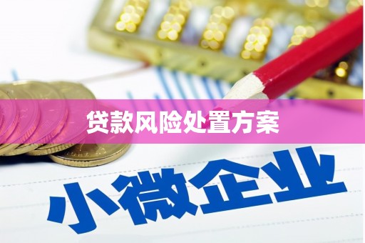 通霄贷款风险处置方案